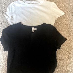 divided crop tee bundle